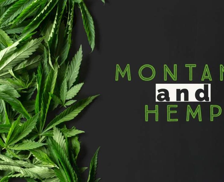 Montana and Hemp