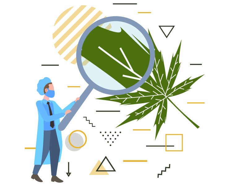An illustration on CBD potency